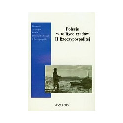 Polesie w polityce rządów II Rzeczypospolitej