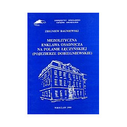 Mezolityczna enklawa osadnicza na Polanie Łęczyńskiej (Pojezierze Dobiegniewskie)