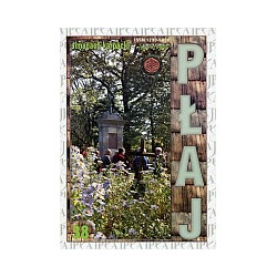 Płaj 38. Almanach karpacki wiosna 2009