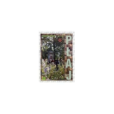 Płaj 38. Almanach karpacki wiosna 2009