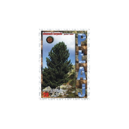 Płaj 29. Almanach karpacki jesień 2004