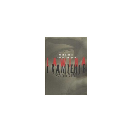 Lawina i kamienie