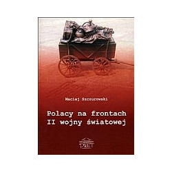 Polacy na frontach II wojny światowej. Szkice polityczno-wojskowe