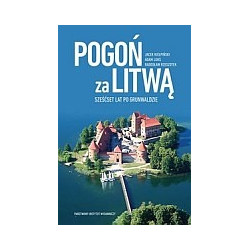 Pogoń za Litwą