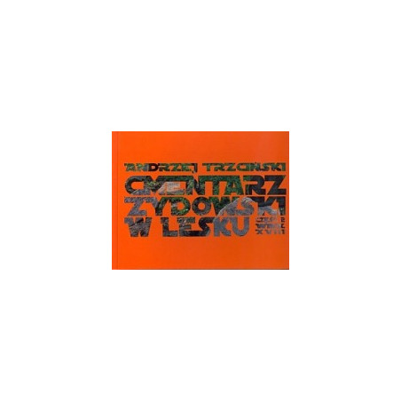 Cmentarz żydowski w Lesku. Część II - wiek XVIII