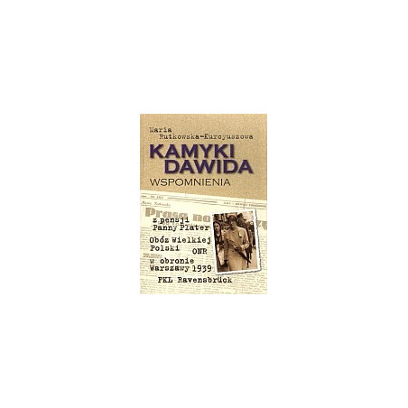 Kamyki Dawida