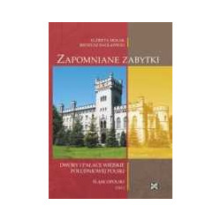 Zapomniane zabytki t.2