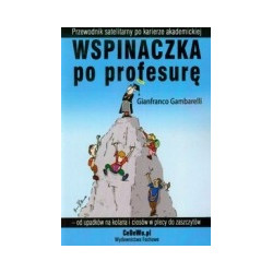 Wspinaczka po profesurę