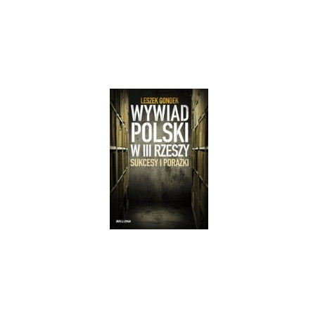 Wywiad Polski w III Rzeszy Sukcesy i porażki