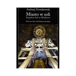 Miasto w soli