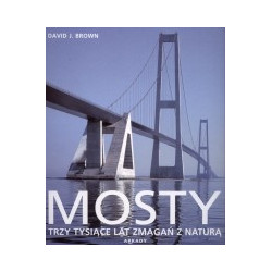 Mosty. Trzy tysiące lat zmagań z naturą