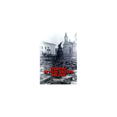 Spojrzenie na polski Wrzesień 1939 roku