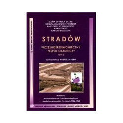 Stradów. Wczesnośredniowieczny zespół osadniczy tom 2