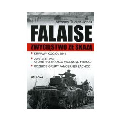 Falaise. Zwycięstwo ze skazą