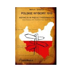 Polskie wybory 1919. Agitacja w pięciu tygodnikach