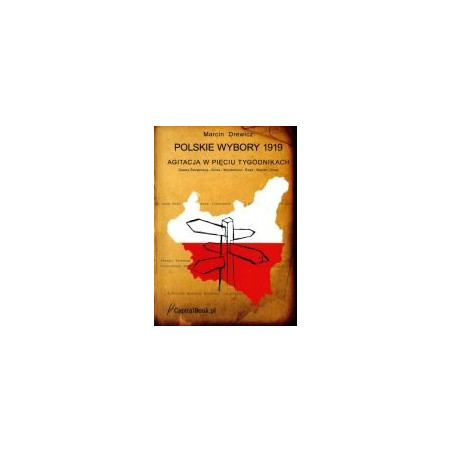 Polskie wybory 1919. Agitacja w pięciu tygodnikach