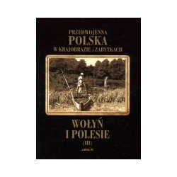 Przedwojenna Polska w krajobrazie i zabytkach. Wołyń i Polesie