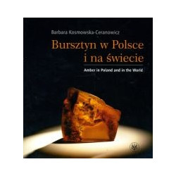 Bursztyn w Polsce i na świecie