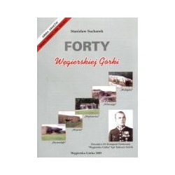 Forty Węgierskiej Górki