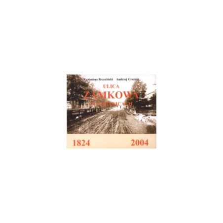 Ulica Zamkowa w Pabianicach 1824-2004