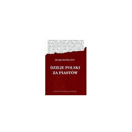 Dzieje Polski za Piastów