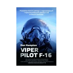 Viper Pilot F-16