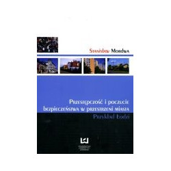 Przestępczość i poczucie bezpieczeństwa w przestrzeni miasta