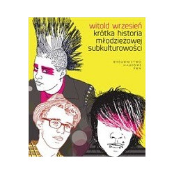 Krótka historia młodzieżowej subkulturowości