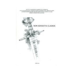 Non sensistis gladios