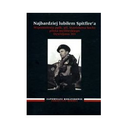 Najbardziej lubiłem Spitfire'a
