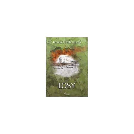 Losy