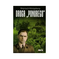Droga Ponurego