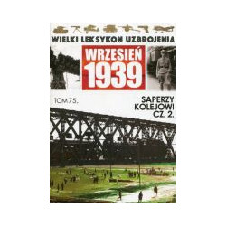 Saperzy kolejowi cz.2 Tabor