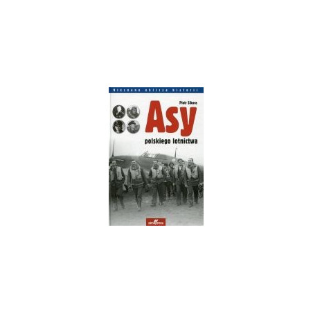 Asy polskiego lotnictwa