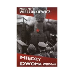 Między dwoma wrogami