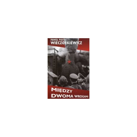 Między dwoma wrogami
