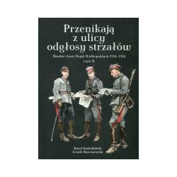 Przenikają z ulicy odgłosy strzałów