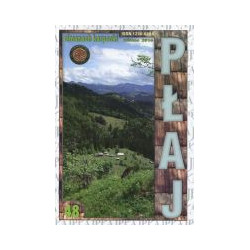 Płaj 48. Almanach karpacki wiosna 2014
