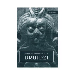 Druidzi