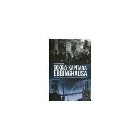 Sokoły kapitana Ebbinghausa