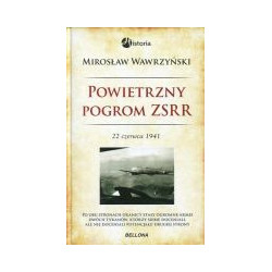 Powietrzny pogrom ZSRR