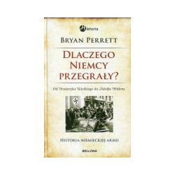 Dlaczego Niemcy przegrały?