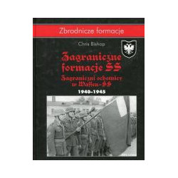 Zagraniczne formacje SS
