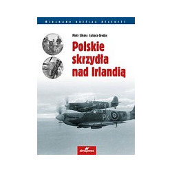 Polskie skrzydła nad Irlandią
