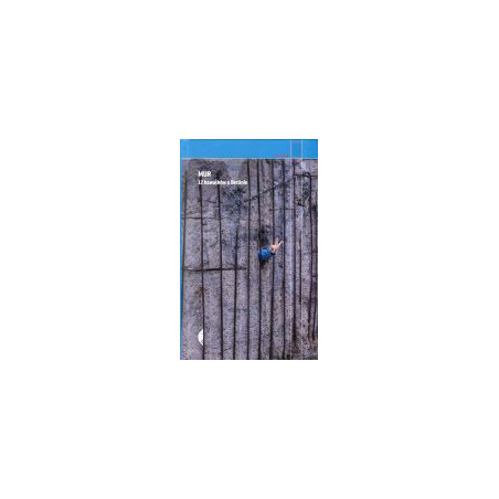 Mur