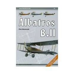 Albatros B.II