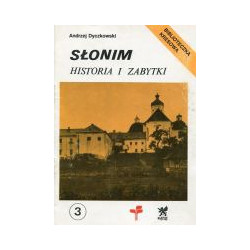 Słonim Historia i zabytki