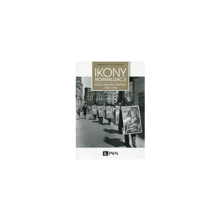 Ikony normalizacji