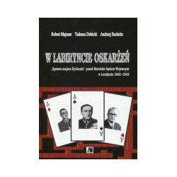W labiryncie oskarżeń