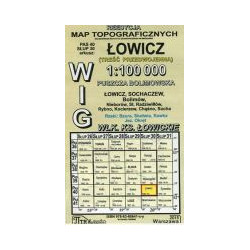 Łowicz - mapa WIG skala 1:100 000